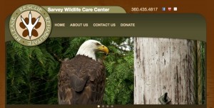Sarvey Wildlife Website
