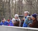 birders
