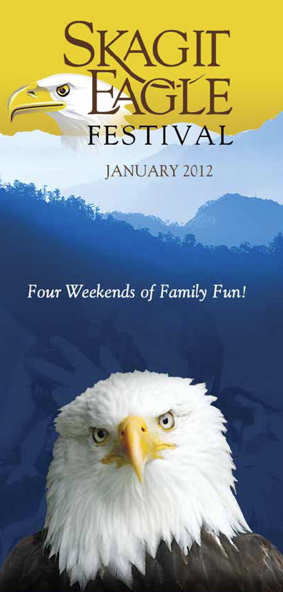 brochure cover