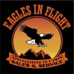 eaglesinflight logo2_8x4ya