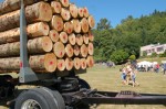 logshow_4fy7y
