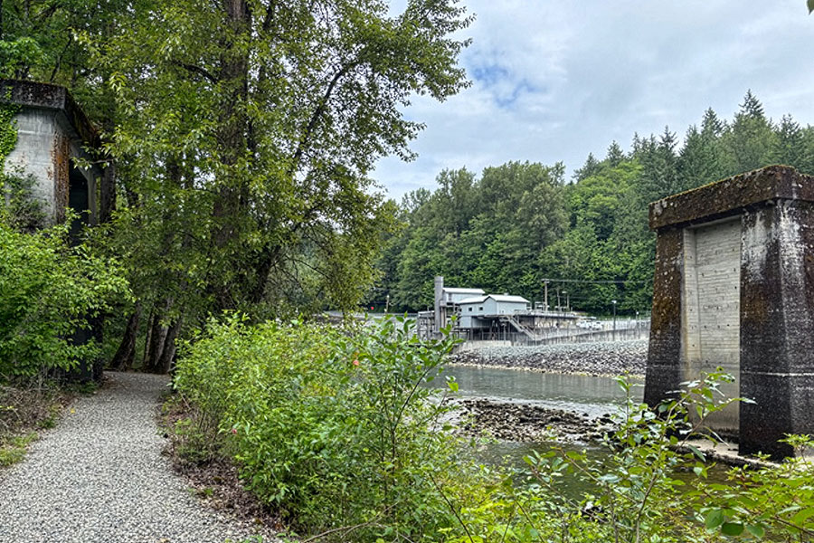 interpretive trail