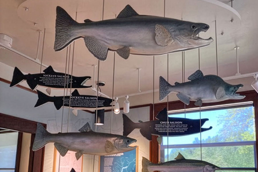 fish room at Baker river Clubhouse and Visitors Center