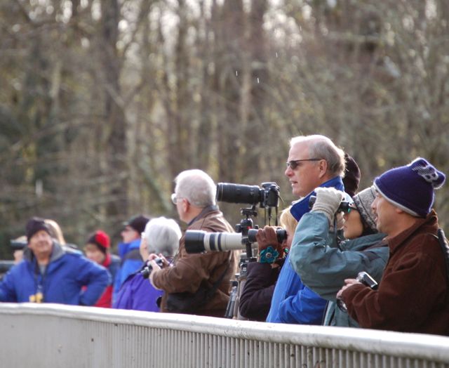 Skagit Eagle Festival Activity Concrete, Washington